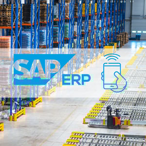 mobile-datenerfassung-sap-erp-sd-versand