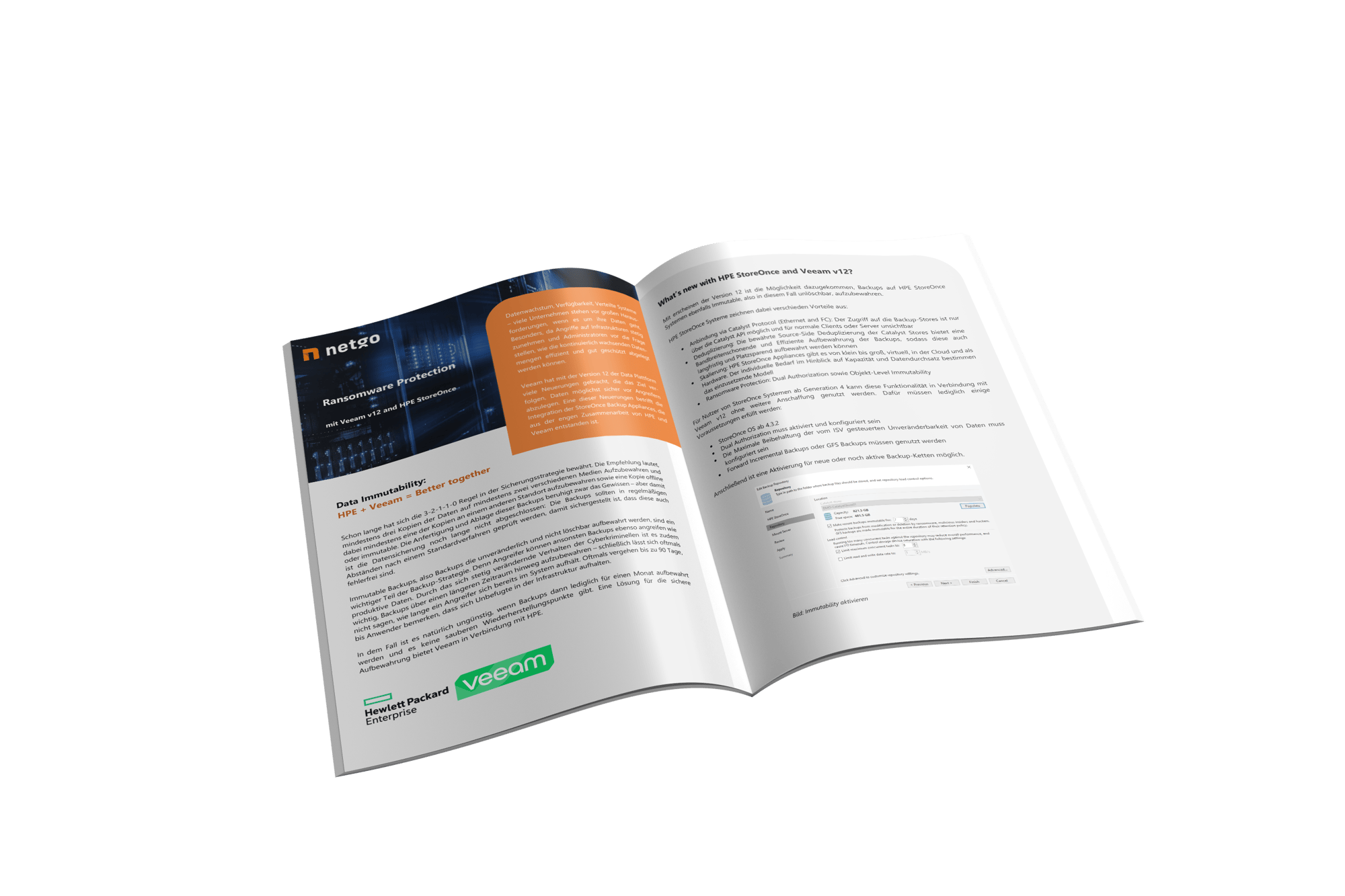 netgo Mockup Techpaper Ransomware Protection