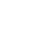 icon-weiss-111