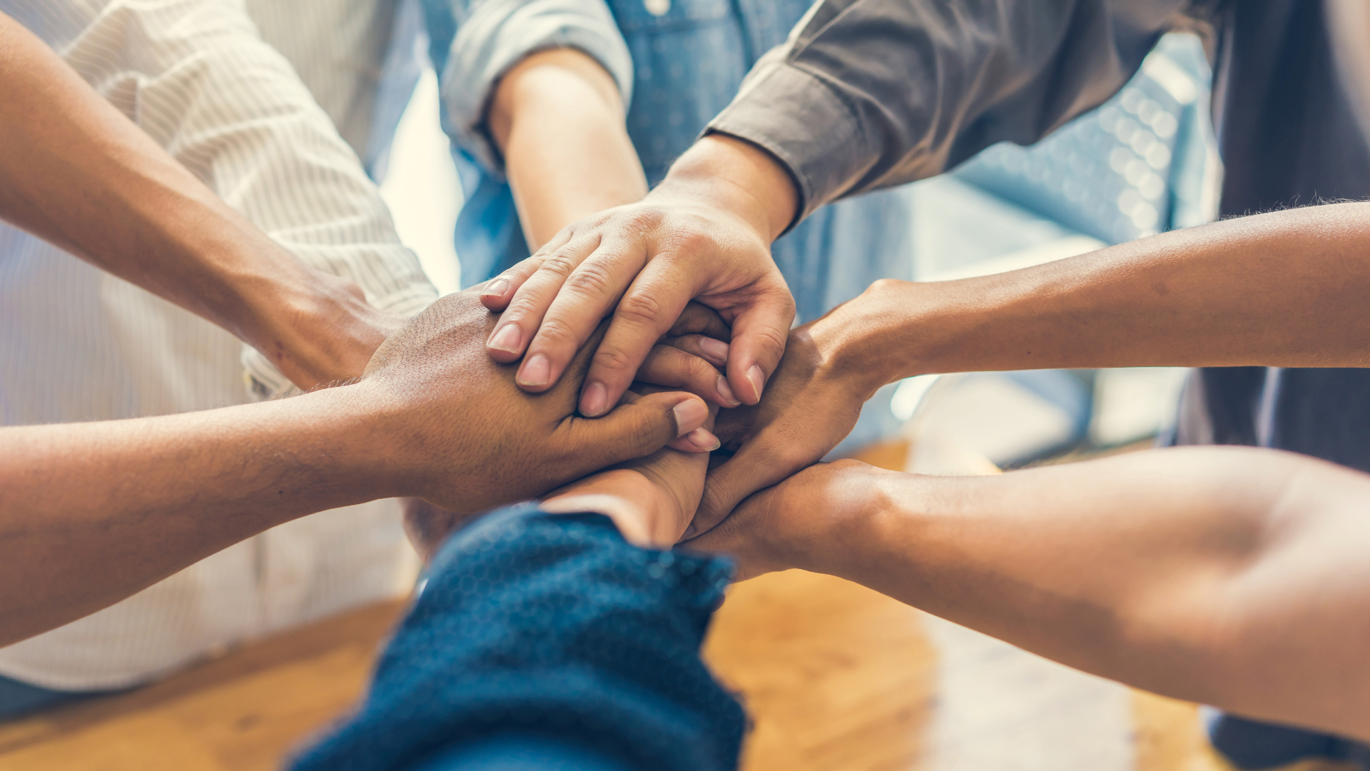 Team netgo Team netgo