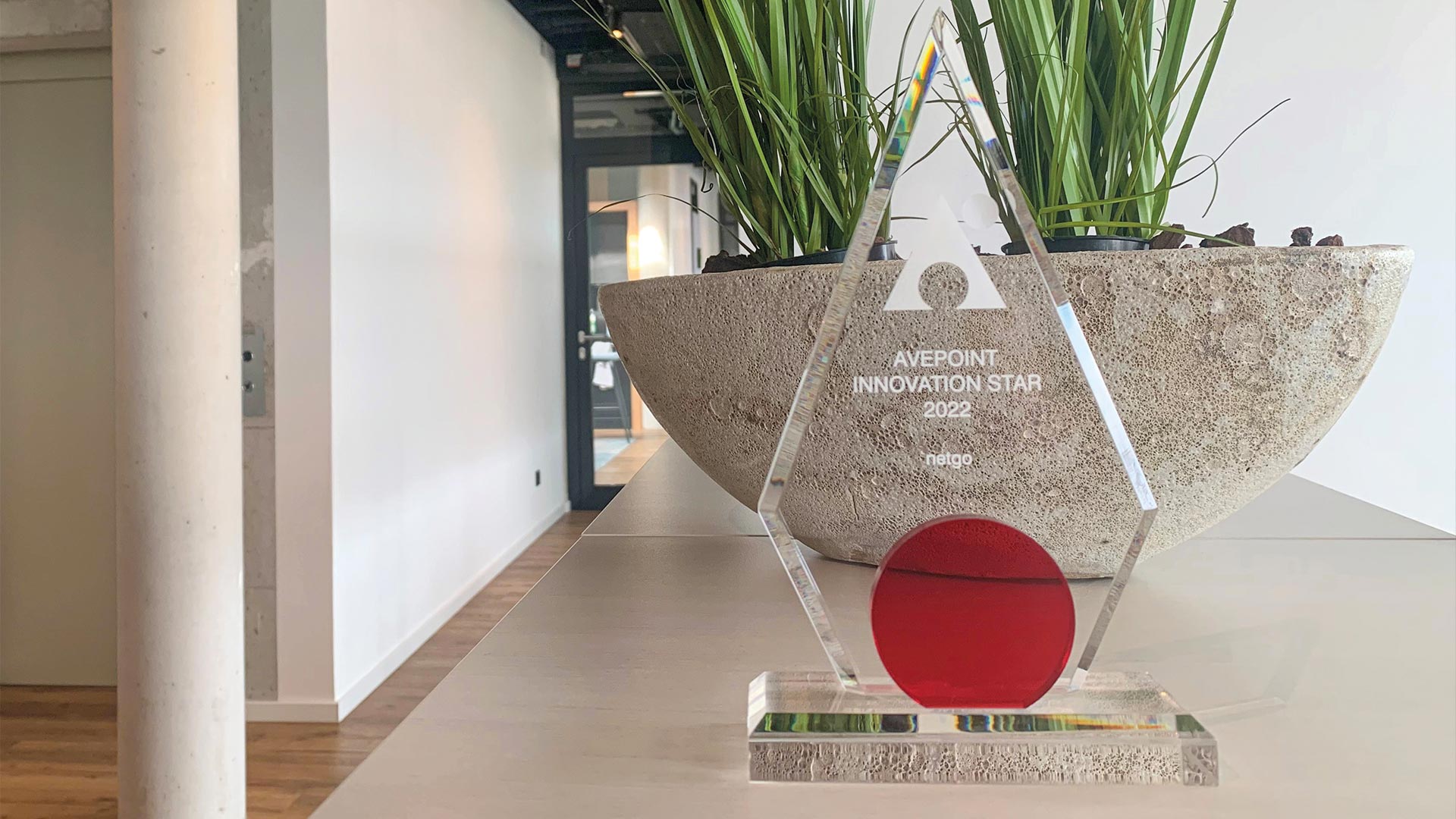 netgo mit AvePoint Innovation Star 2022 ausgezeichnet.